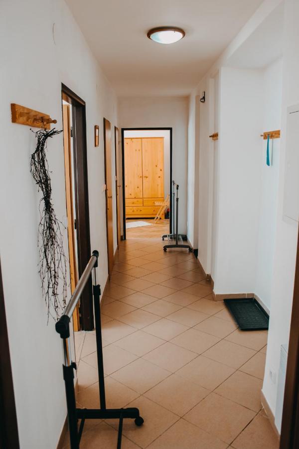 شقة Apartman روكيتنسي ناد جيزيرو المظهر الخارجي الصورة